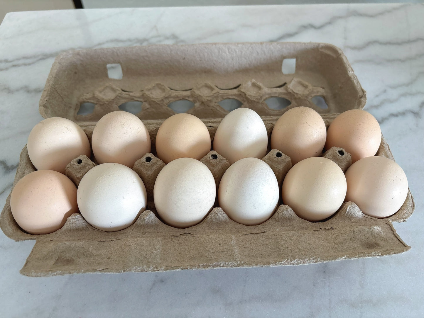 Limited Quantity – $1 First-Time Trial Pasture-Raised Eggs First come, first served. Pickup only.