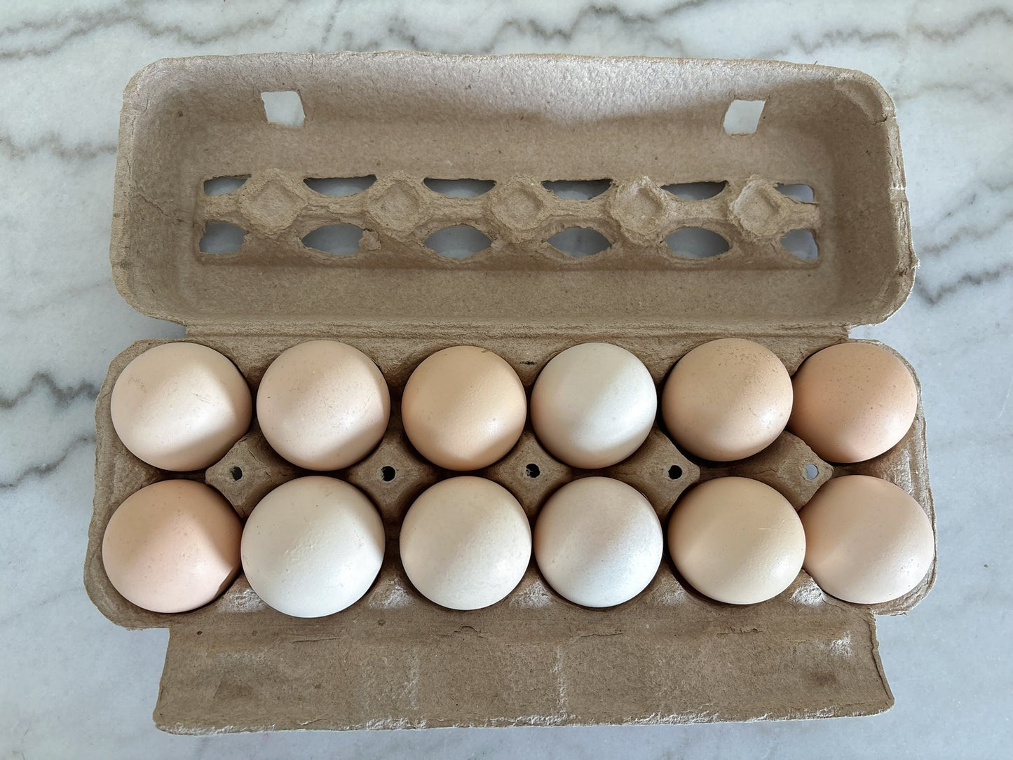 Pasture-Raised Egg Subscription (3 Dozen) – Neighbor Plan