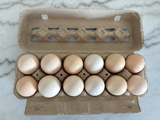 Pasture-Raised Egg Subscription (5 Dozen) – Family Plan