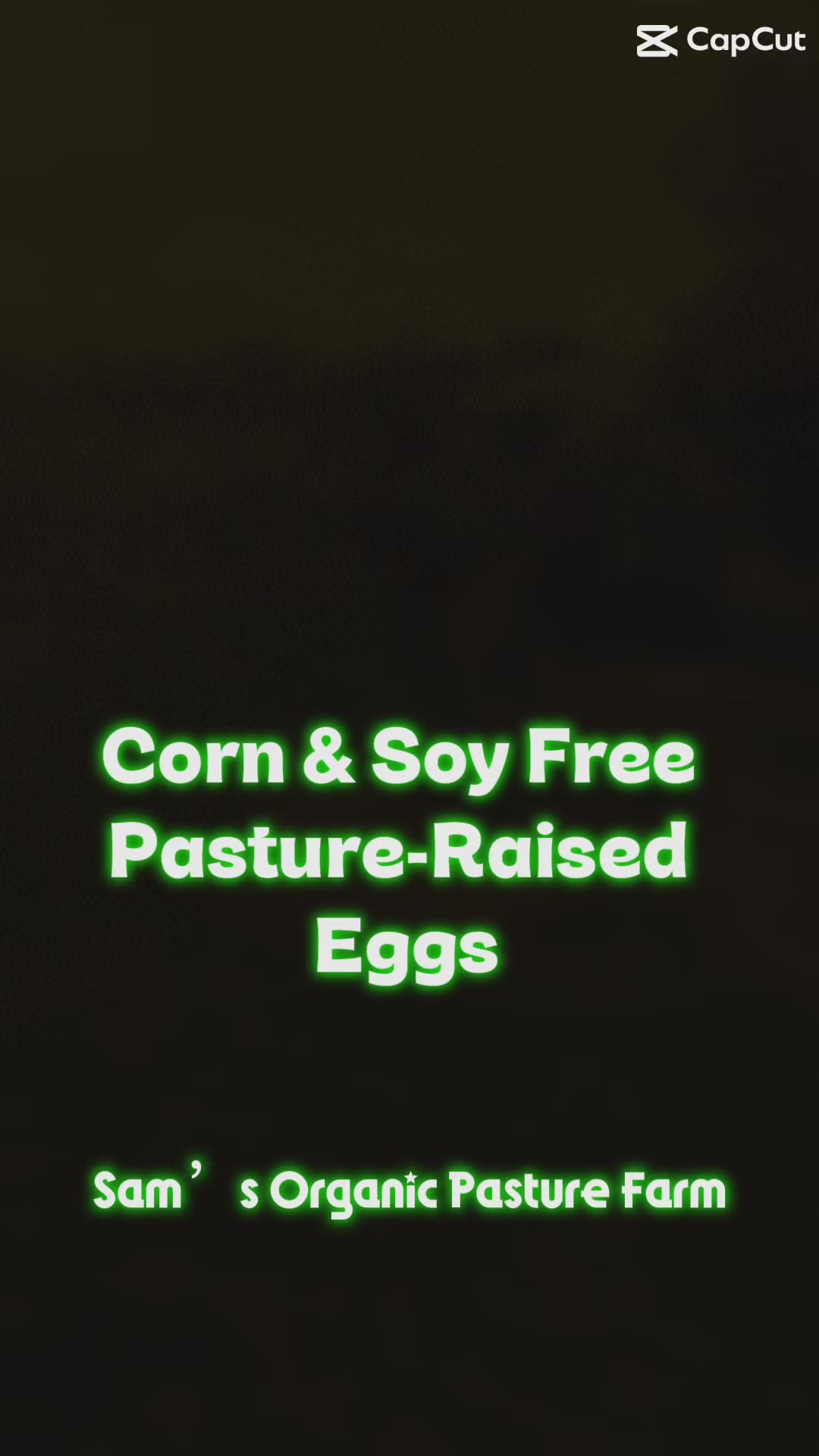 Load video: Pasture-raised hens roaming freely on pasture, eating mealworms and rice, with fresh eggs collected from nesting boxes at Sam's Organic Pasture Farm.